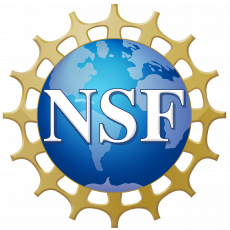 NSF Logo