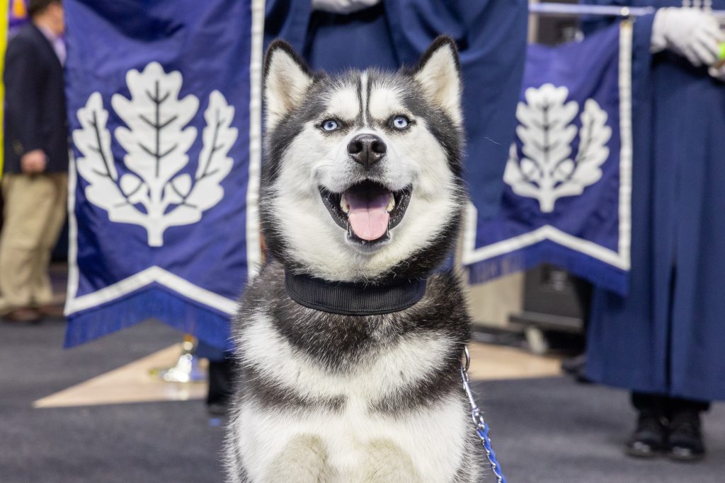 Jonathan poses at commencement
